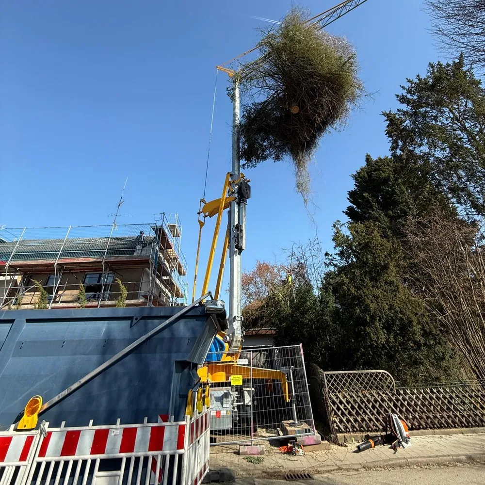 Kranfällung über einer Baustelle
