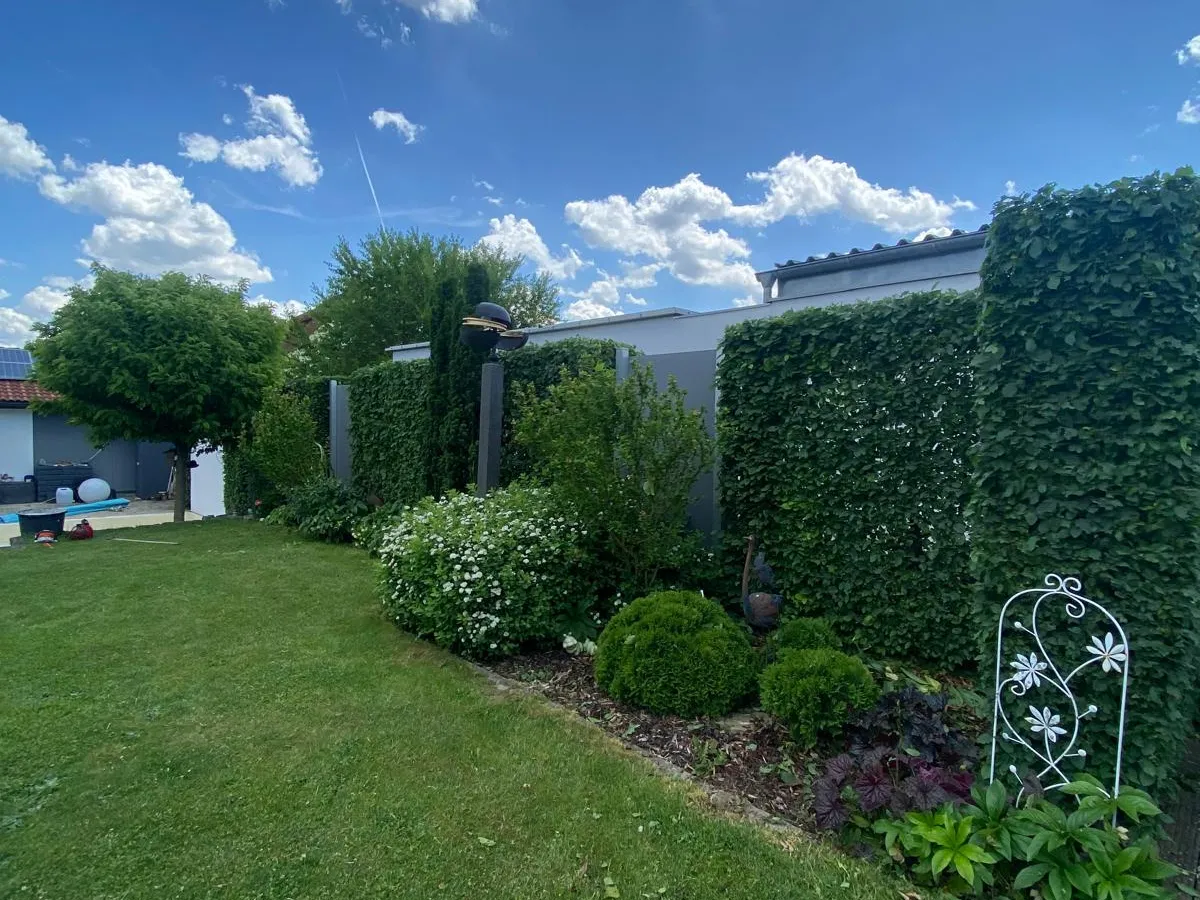 Gepflegter Garten mit frisch geschnittener Hecke